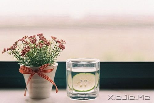 早安心语：智者嘴在心里，愚者心在嘴里 (5)